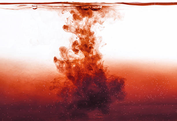 The Water and the Blood