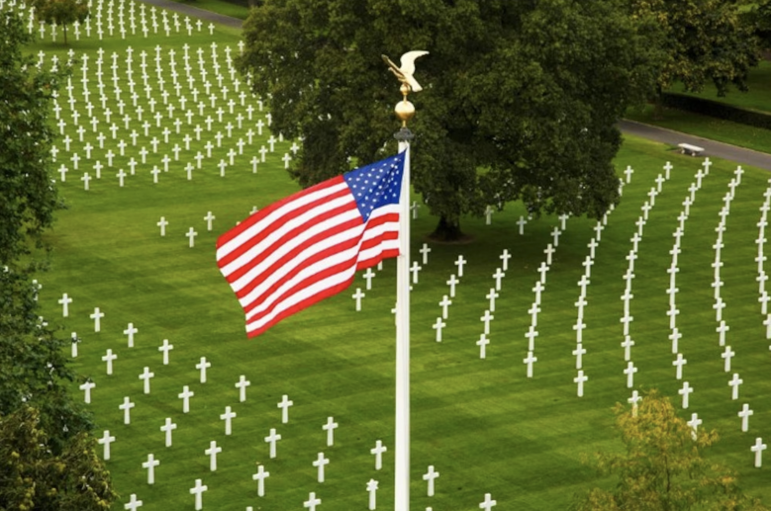 When the Kingdom of God Takes Root