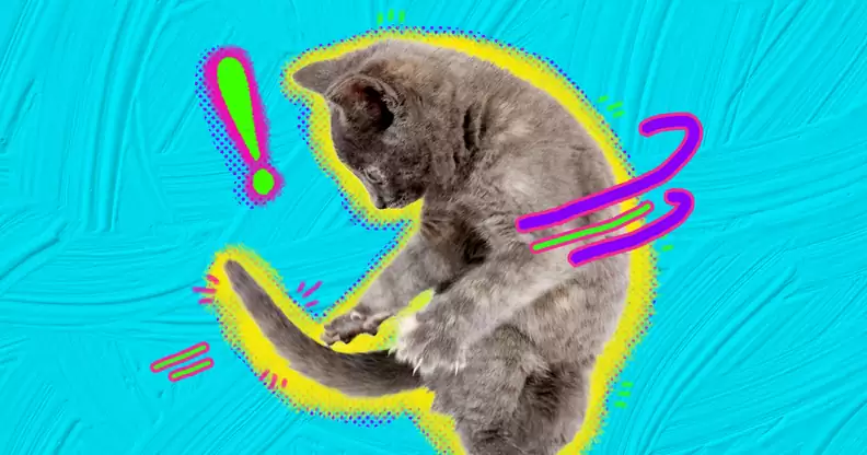 The Sheeted Face Unveiled